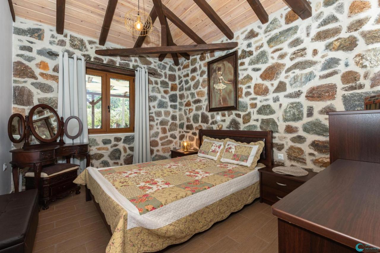 הוילה סקאלה פוטאמיאס Eleni'S Stone House מראה חיצוני תמונה